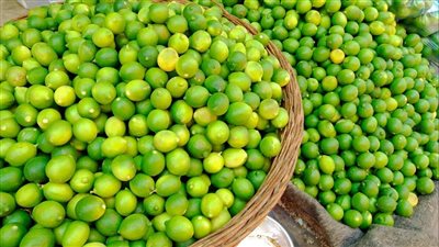 سعر الليمون يقفز لـ 50 جنيهًا في الأسواق، والشعبة توضح سبب جنون أسعاره وموعد انخفاضها  