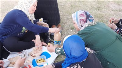 مش وطعمية، أمهات طلاب الثانوية العامة بالإسماعيلية يتناولن وجبة الإفطار بمحيط اللجان (فيديو) 