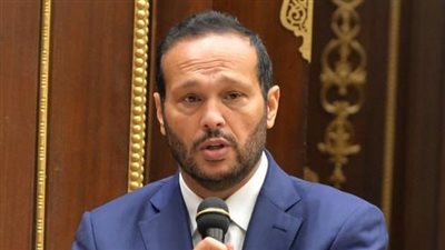 محمد حلاوة: استقبال الرئيس السيسي لرئيس دولة الإمارات يؤكد قوة العلاقات بين البلدين