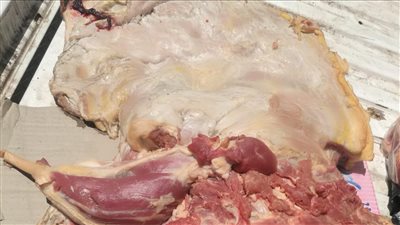 بيطري الفيوم يحرر 161 مخالفة في حملة على محلات الجزارة 