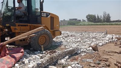 إزالة 28 حالة تعد على أراض أملاك الدولة في البحيرة (صور)