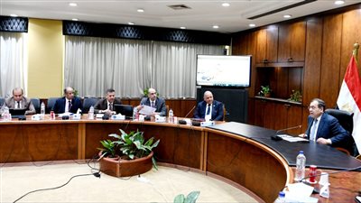 الملا يتابع إجراءات تنفيذ مشروع السيليكون بالعلمين