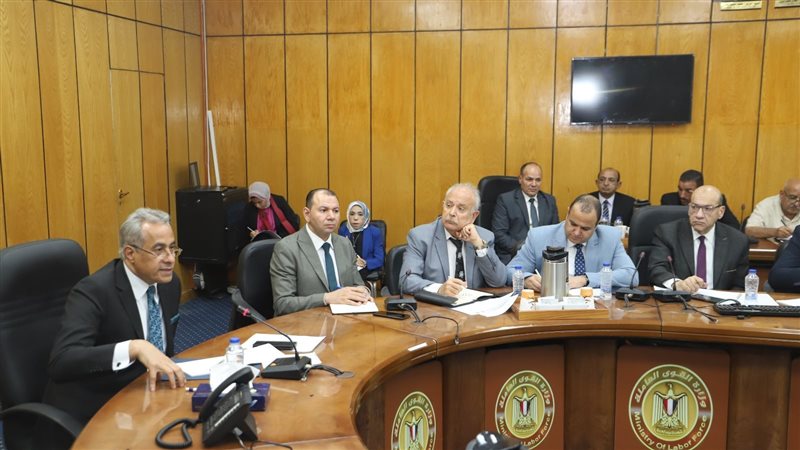 حسن شحاتة وزير العمل،فيتو