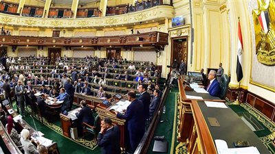 برلمانية مستقبل وطن: التحالف الوطني للعمل الأهلي يواجه الفكر المتطرف في القرى 