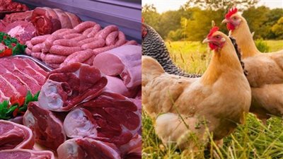 أسعار اللحوم تربك الميزانيات، ارتفاع أسعار اللحوم والدواجن بنسبة 92.1 % مقارنة بالعام الماضي