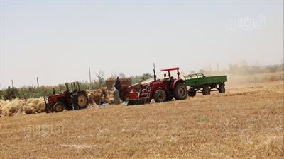 محافظ قنا: توريد 207 آلاف و882 طن قمح للصوامع والشون