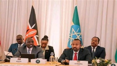 بعد انسحاب الوفد السوداني، قمة إيجاد تؤكد رفض الحل العسكري