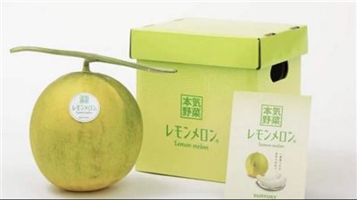 بطيخ الليمون، 5 مزارعين يطورون ثمرة جديدة، وهذا سعرها بالأسواق