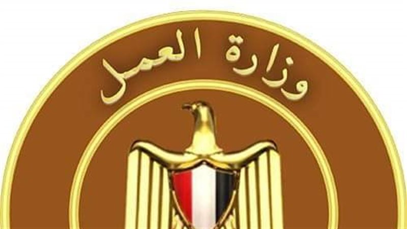 وزارة العمل،فيتو