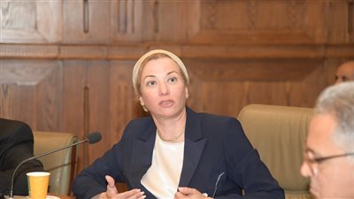 وزيرة البيئة ترد على النواب حول تفريغ الفحم غير المعبأ من البحر