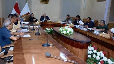 رفع كفاءة 200 منزل كمرحلة أولى ضمن مشروع الجذب السكاني بالوادي الجديد