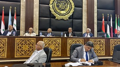 الأكاديمية العربية للعلوم تنظم ورشة عمل عن بناء وإصلاح السفن