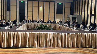 انطلاق الجلسة التحضيرية لقمة دول جوار السودان بالقاهرة