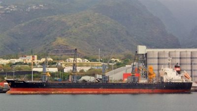 وصول 27 ألف طن فحم بترولي لميناء سفاجا البحري