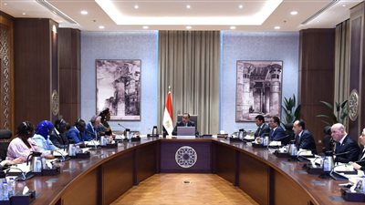 رئيس الوزراء يلتقى الأمين العام لمنظمة مؤتمر وزراء الشباب والرياضة للدول الناطقة بالفرنسية