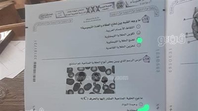 التعليم تكشف هوية طالب قام بتصوير امتحان الأحياء من داخل اللجنة