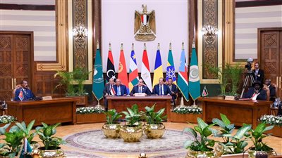 الإمارات وسلطنة عمان تشيدان بجهود مصر بشأن حل الأزمة السودانية 