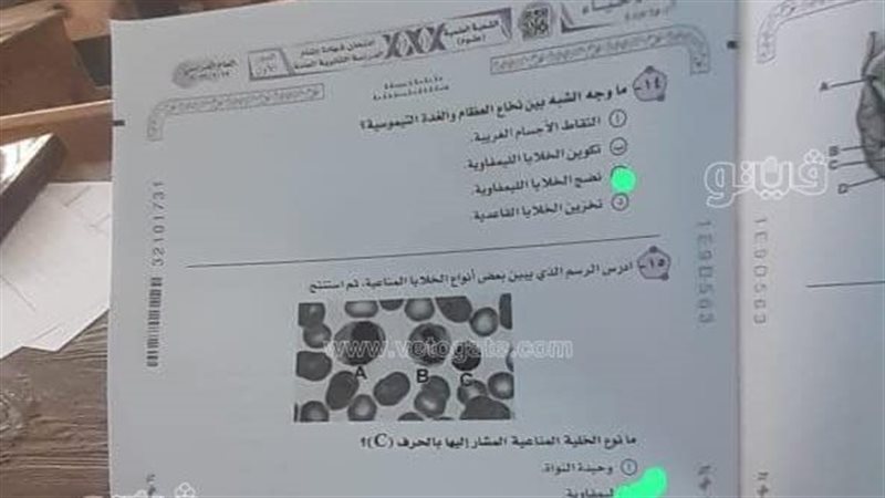 امتحانات الثانوية