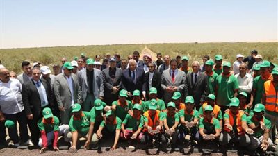 الزملوط يشهد حصاد الذهب الأخضر بأحد مشروعات الاستثمار الزراعي