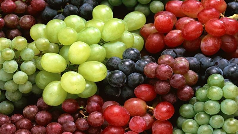  سعر العنب اليوم