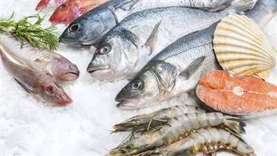 أسعار الأسماك اليوم، 20 جنيهًا أقل سعر لكيلو البلطي في سوق العبور