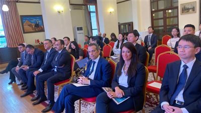 المشاط تستعرض دور مؤسسات التمويل الدولية في تعزيز مشاركة القطاع الخاص في مصر 