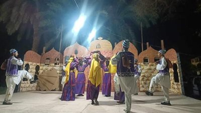 أنشطة وفعاليات ثقافية وعروض فنية ونقاشات بقصور الثقافة بالوادي الجديد (صور)