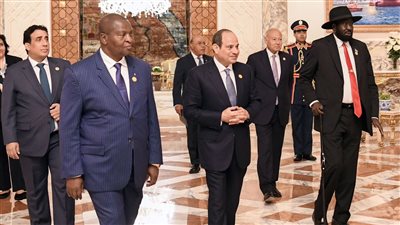 نشاط الرئيس السيسي خلال قمة دول جوار السودان (فيديو وصور)