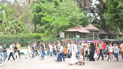 الوزراء يكشف حقيقة تجريف الأشجار النادرة بحديقة الحيوان بالجيزة 