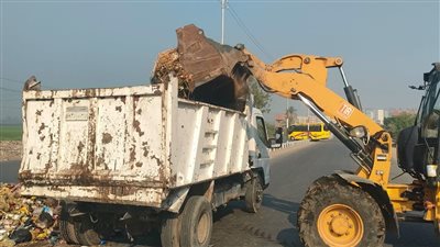 تكثيف حملات النظافة ومكافحة الباعوض بمركز الزقازيق 