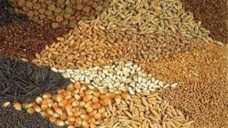 أسعار الأعلاف والحبوب