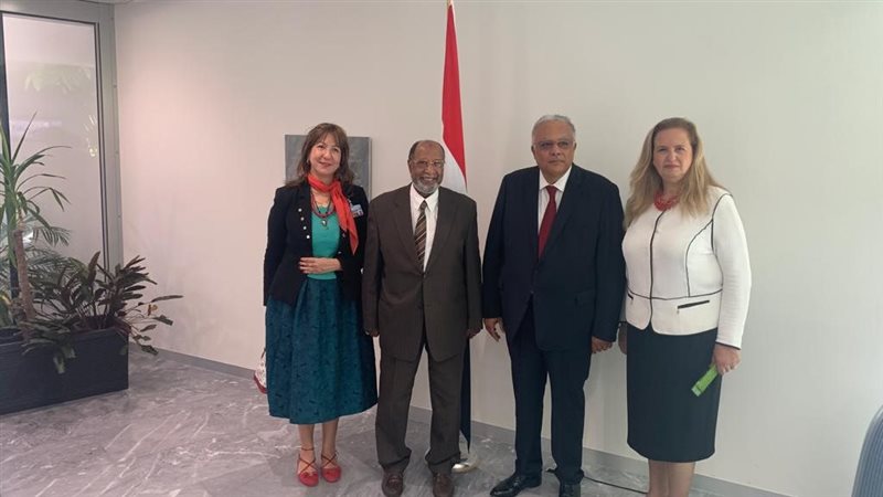 إتحاد المصريين بالخارج،فيتو