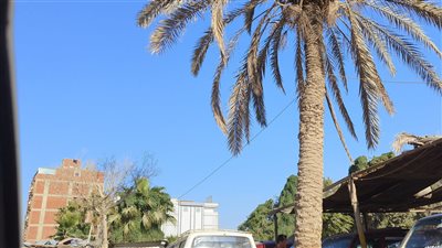 حالة الطقس اليوم الأحد 16-7-2023 فى الدقهلية