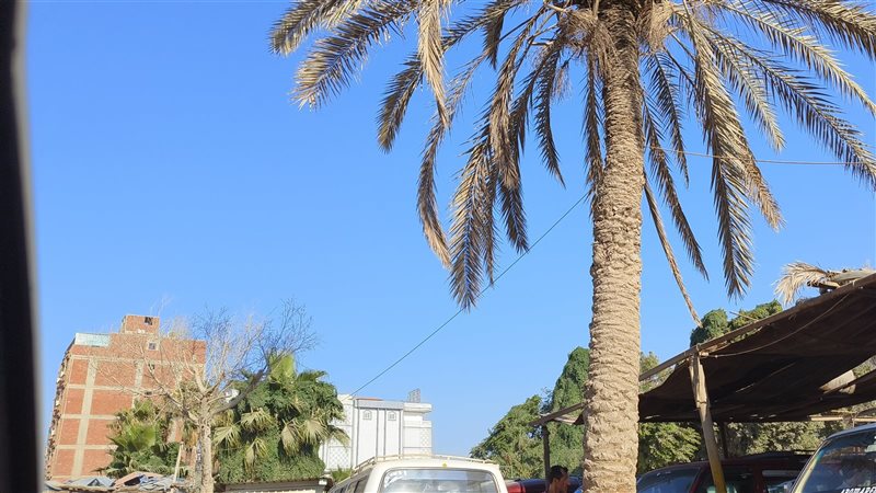 حالة الطقس، فيتو