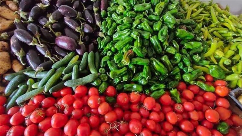 أسعار الخضراوات اليوم،