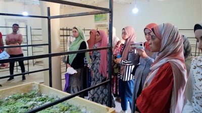 تدريب صيفي لطلبة كلية الزراعة في مزارع حرير الوادي الجديد 