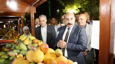 محافظ أسوان: 