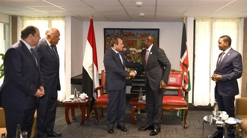 الرئيس عبد الفتاح