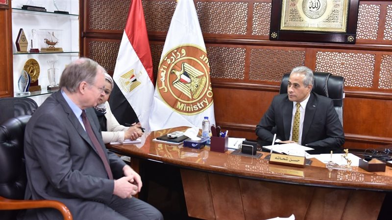 حسن شحاتة وزير العمل،