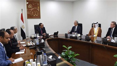 مصطفى مدبولي يلتقي الرئيس التنفيذي لشركة 