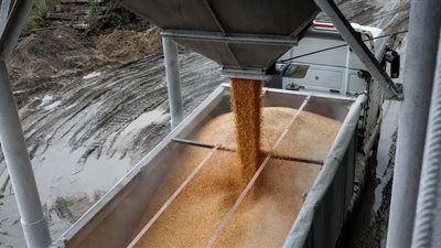 كييف تتهم روسيا بتدمير البنية التحتية لتصدير الحبوب بميناء تشورنومورسك (صور)