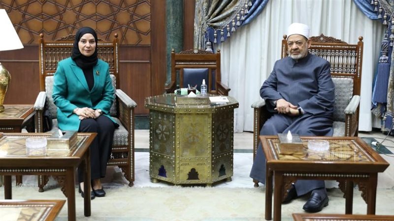 لقاء شيخ الأزهر مع