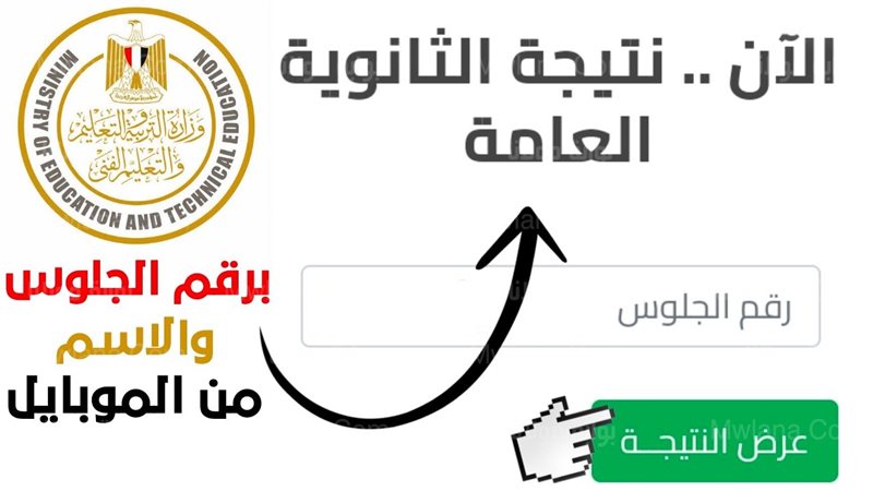 فيتو
