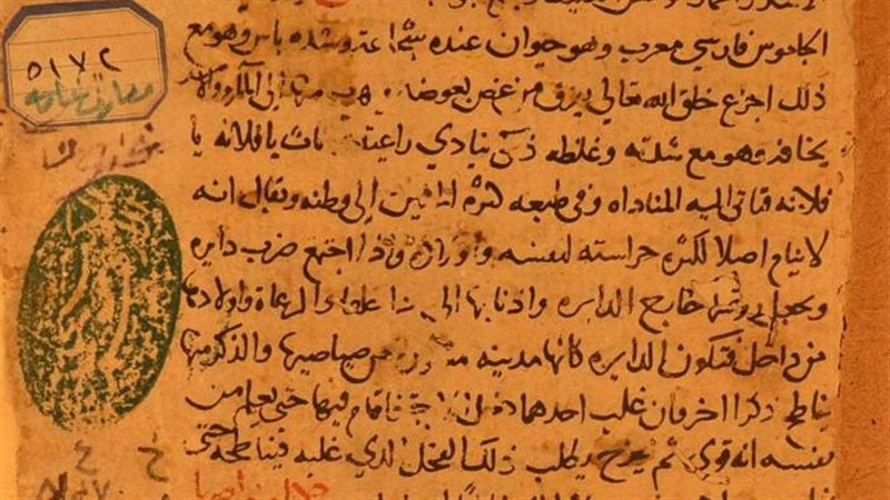 الأزهر يعرض مخطوطات