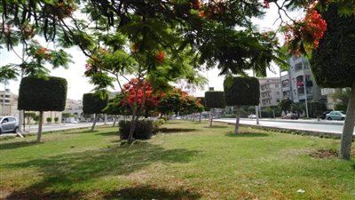  زراعة أكثر من مليون متر مربع مسطحات خضراء بمدينة دمياط الجديدة