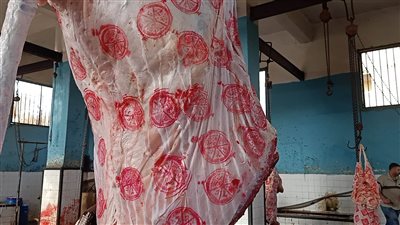 تعرف على أسعار اللحوم اليوم الثلاثاء 18-7-2023 في الدقهلية 