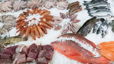 أسعار الأسماك اليوم، انخفاض سعر البلطي مقابل ارتفاع البوري في سوق العبور