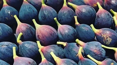 أسعار الفاكهة اليوم، انخفاض سعر التين البرشومي في سوق العبور