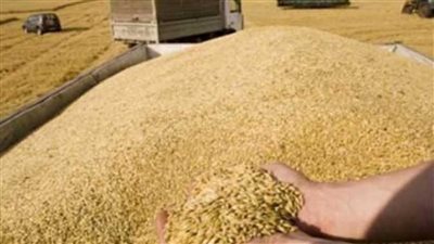 أخبار الاقتصاد اليوم، رحلة أسعار الذهب خلال 23 عامًا، توقعات بارتفاع أسعار الحبوب 10% 