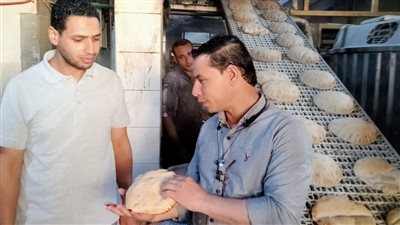 ضبط 9 أطنان مخلل مجهول المصدر وتحرير 40 محضرًا تموينيا بالبحيرة (صور)